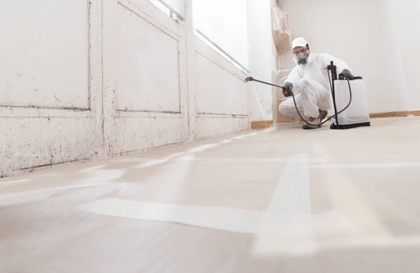 24/7 Emergency Commercial Mold Remediation experts in Princeton, NJ