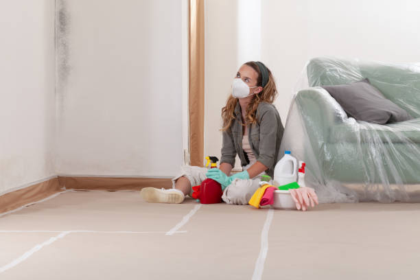Reliable Commercial Mold Remediation contractor in Princeton, NJ by Mold Remediation HQ